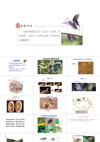 八年级生物下册 7.1.2昆虫的生殖和发育课件2 （新版）新人教版-（新版）新人教级下册生物课件