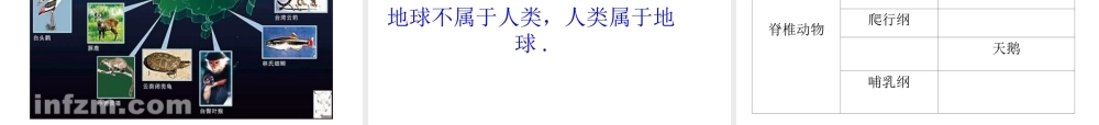 八年级生物下册 第4章 生物的类群 4.2 动物—哺乳类课件 沪教版-沪教版初中八年级下册生物课件