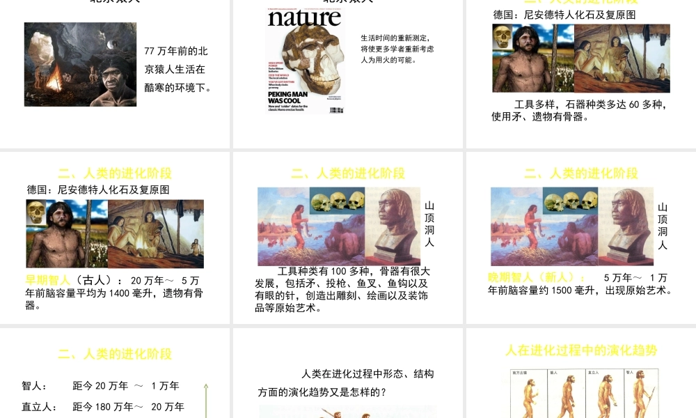 八年级生物下册 第21章 第3节 人类的起源与进化（第2课时）课件 北师大版-北师大级下册生物课件