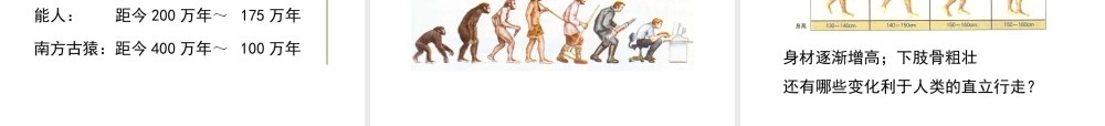 八年级生物下册 第21章 第3节 人类的起源与进化（第2课时）课件 北师大版-北师大级下册生物课件
