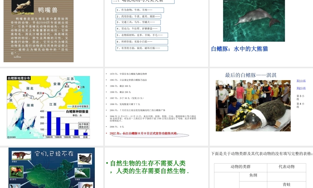 八年级生物下册 第4章 生物的类群 4.2 动物-哺乳类课件 沪教版-沪教级下册生物课件