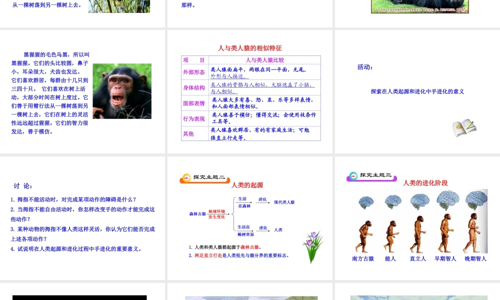 八年级生物下册 第21章 第3节 人类的起源与进化课件 北师大版