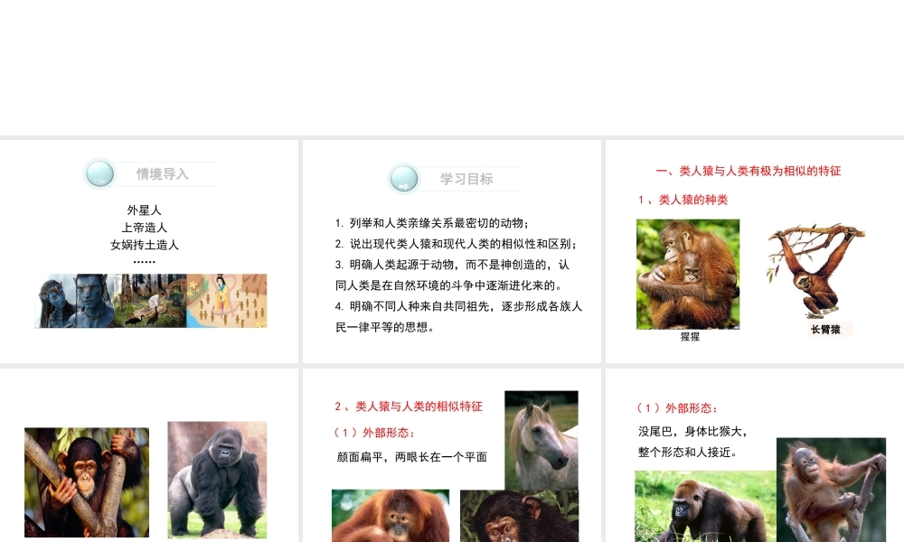 八年级生物下册 第21章 第3节 人类的起源与进化课件3 北师大版