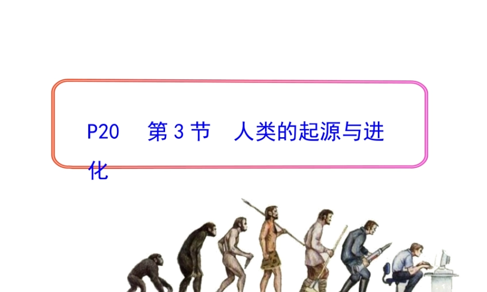 八年级生物下册 第21章 第3节 人类的起源与进化课件1 北师大版