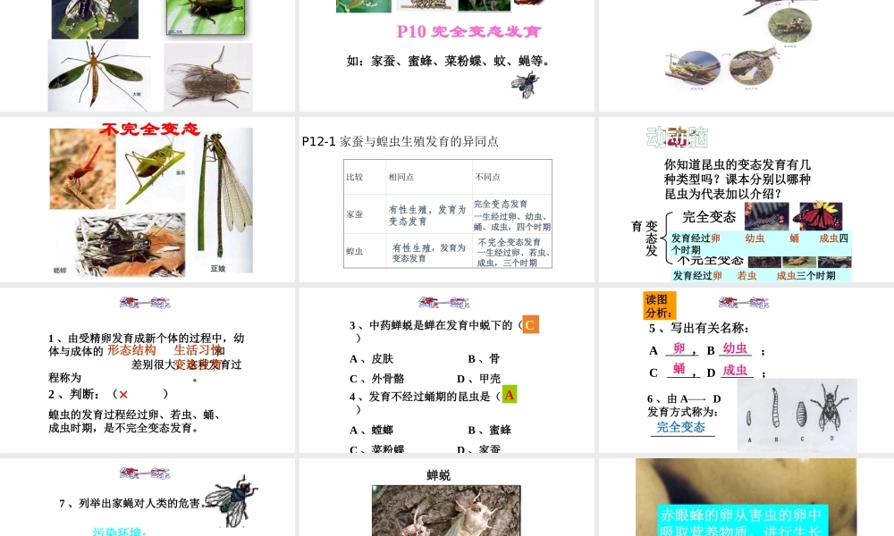 八年级生物下册 7.1.2昆虫的生殖和发育课件3 （新版）新人教版-（新版）新人教级下册生物课件