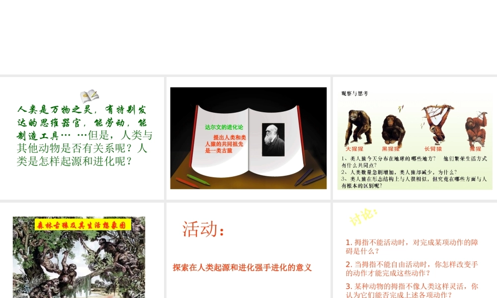 八年级生物下册 第21章 第3节 人类的起源与进化课件3 北师大版-北师大级下册生物课件