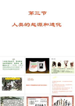 八年级生物下册 第21章 第3节 人类的起源与进化课件3 北师大版-北师大级下册生物课件