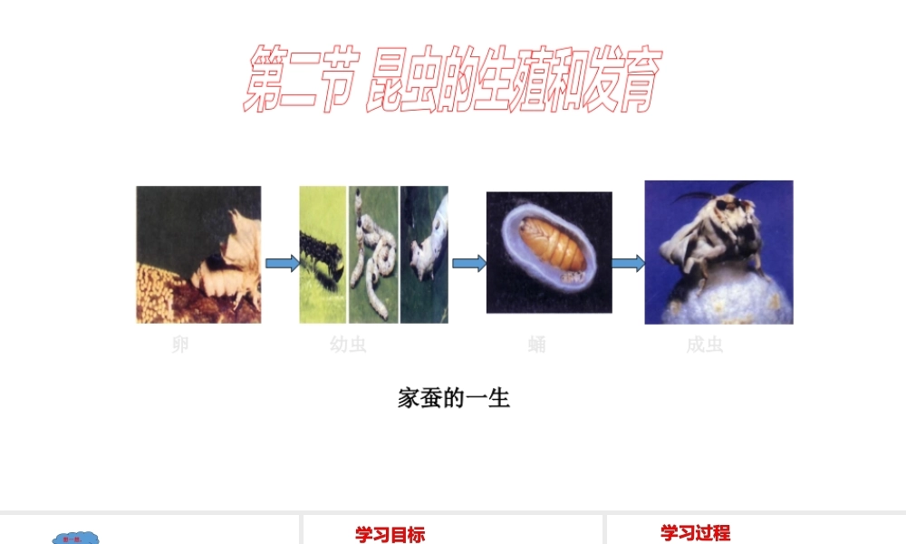 八年级生物下册 7.1.2昆虫的生殖和发育课件4 （新版）新人教版-（新版）新人教版初中八年级下册生物课件