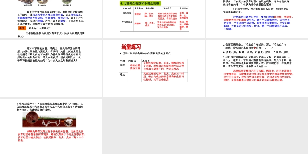 八年级生物下册 7.1.2昆虫的生殖和发育课件4 （新版）新人教版-（新版）新人教版初中八年级下册生物课件