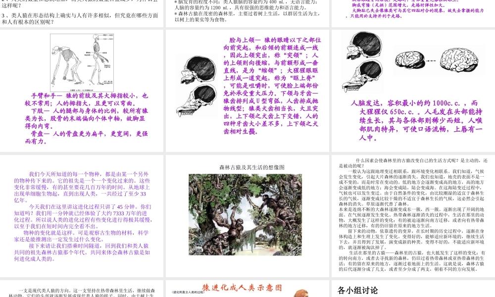 八年级生物下册 第21章 第3节 人类的起源与进化课件1 北师大版-北师大版初中八年级下册生物课件