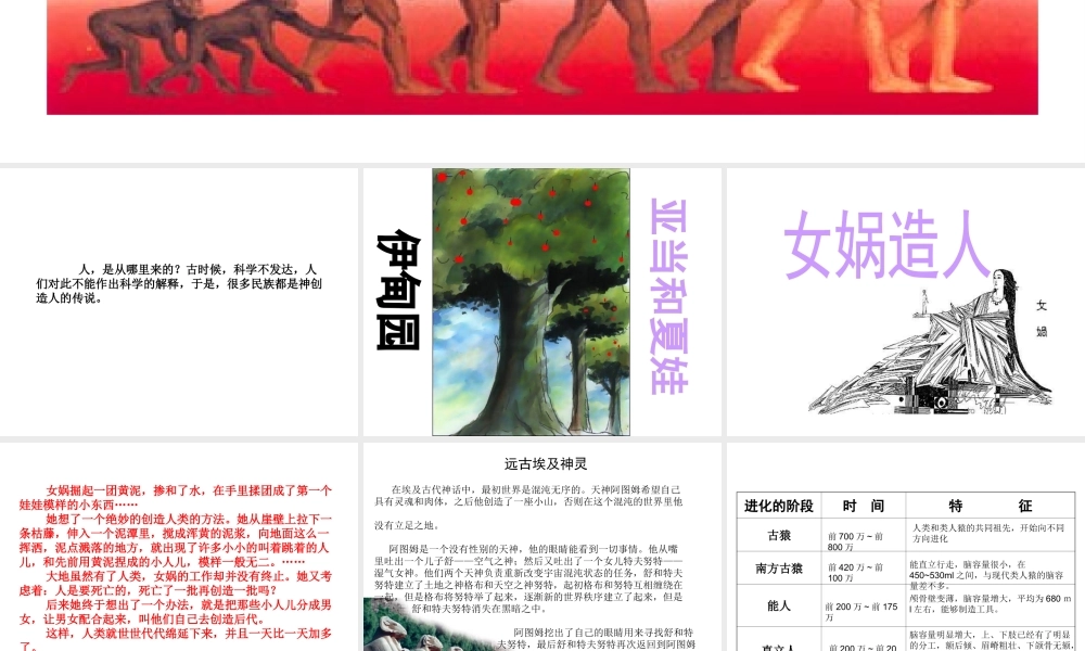 八年级生物下册 第21章 第3节 人类的起源与进化课件4 北师大版-北师大版初中八年级下册生物课件