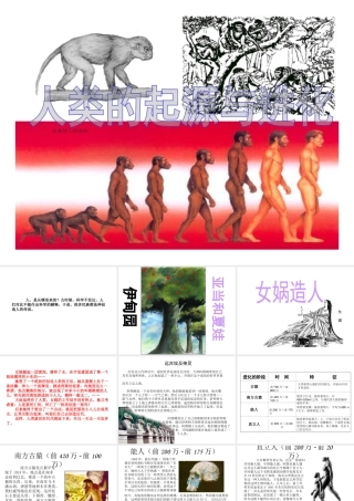 八年级生物下册 第21章 第3节 人类的起源与进化课件4 北师大版-北师大级下册生物课件