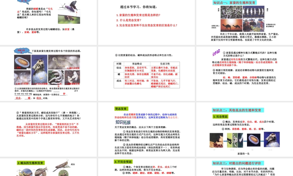 八年级生物下册 7.1.2昆虫的生殖和发育课件4 （新版）新人教版-（新版）新人教级下册生物课件