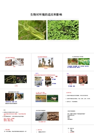 八年级生物下册 7.1.2生物对环境的适应和影响教学课件 （新版）冀教版-（新版）冀教版初中八年级下册生物课件