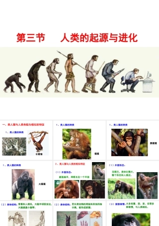 八年级生物下册 第21章 第3节 人类的起源与进化课件2 北师大版
