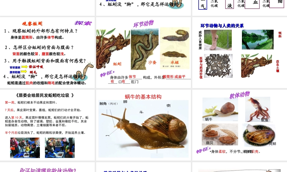 八年级生物下册 第4章 生物的类群 4.2 动物—环节动物、软体动物课件 沪教版-沪教版初中八年级下册生物课件