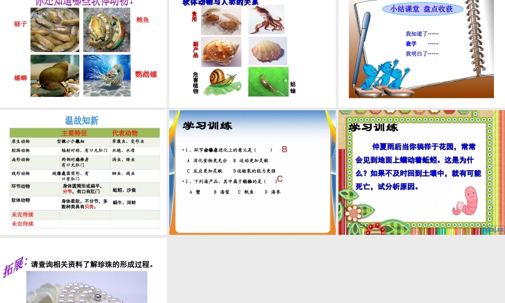 八年级生物下册 第4章 生物的类群 4.2 动物—环节动物、软体动物课件 沪教版-沪教版初中八年级下册生物课件