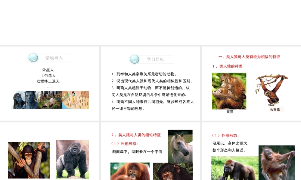 八年级生物下册 第21章 第3节《人类的起源与进化》课件 北师大版