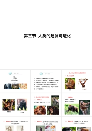 八年级生物下册 第21章 第3节《人类的起源与进化》课件 北师大版