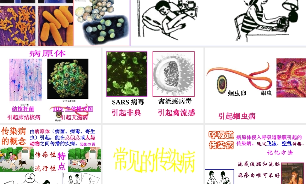 八年级生物下册 8.1.1 传染病及其预防课件2 新人教版
