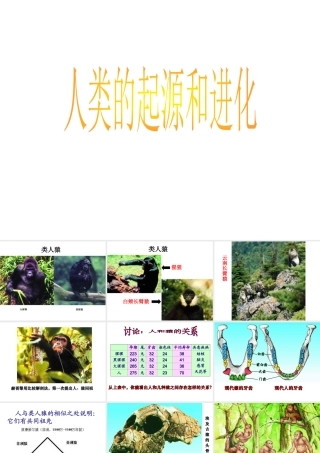 八年级生物下册 第21章 第3节 人类的起源与进化课件2 北师大版-北师大版初中八年级下册生物课件