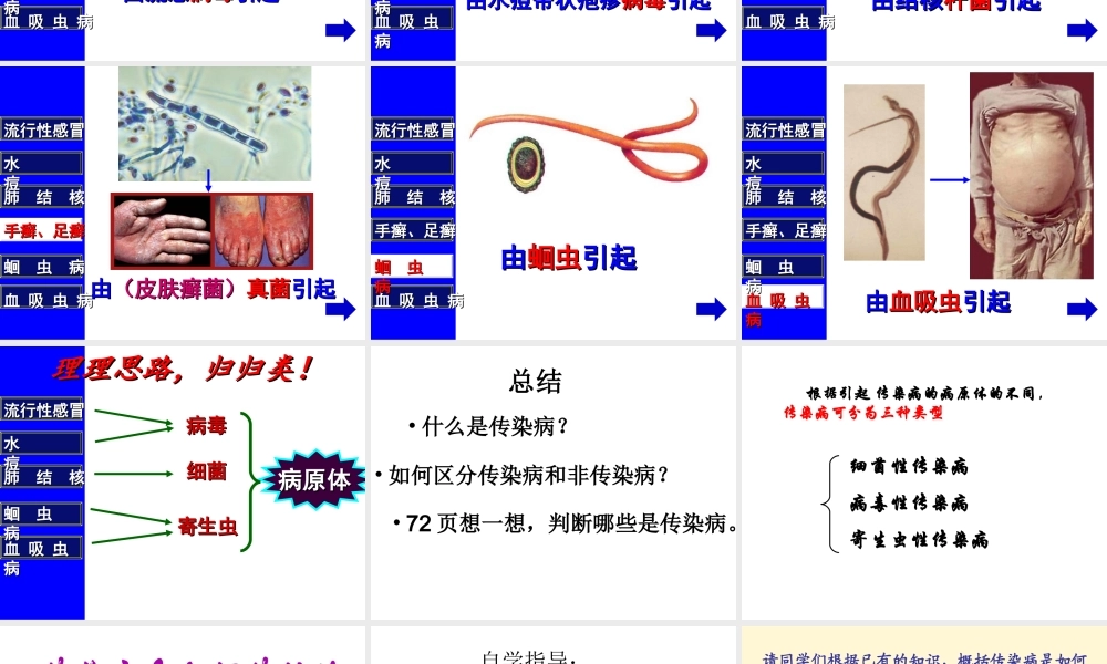 八年级生物下册 第八单元 第一章 传染病及其预防课件 新人教版-新人教版初中八年级下册生物课件