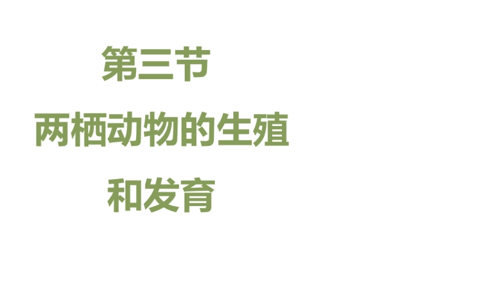 八年级生物下册 7.1.3 两栖动物的生殖和发育教学课件 （新版）新人教版-（新版）新人教版初中八年级下册生物课件
