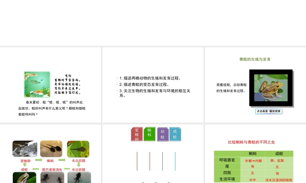 八年级生物下册 7.1.3 两栖动物的生殖和发育教学课件 （新版）新人教版-（新版）新人教版初中八年级下册生物课件
