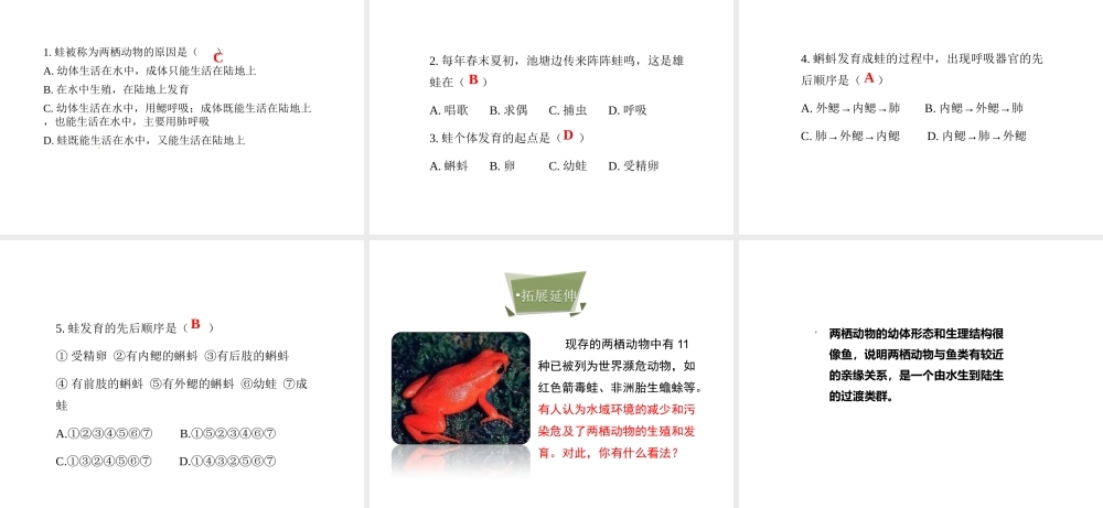 八年级生物下册 7.1.3 两栖动物的生殖和发育教学课件 （新版）新人教版-（新版）新人教版初中八年级下册生物课件