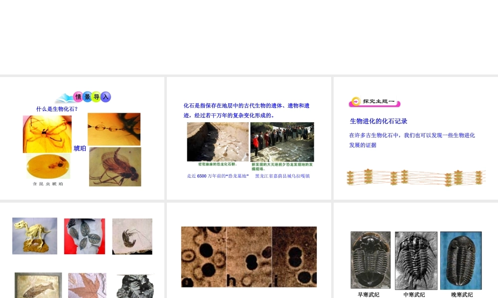 八年级生物下册 第21章 第二节 生物的进化课件1 （新版）北师大版