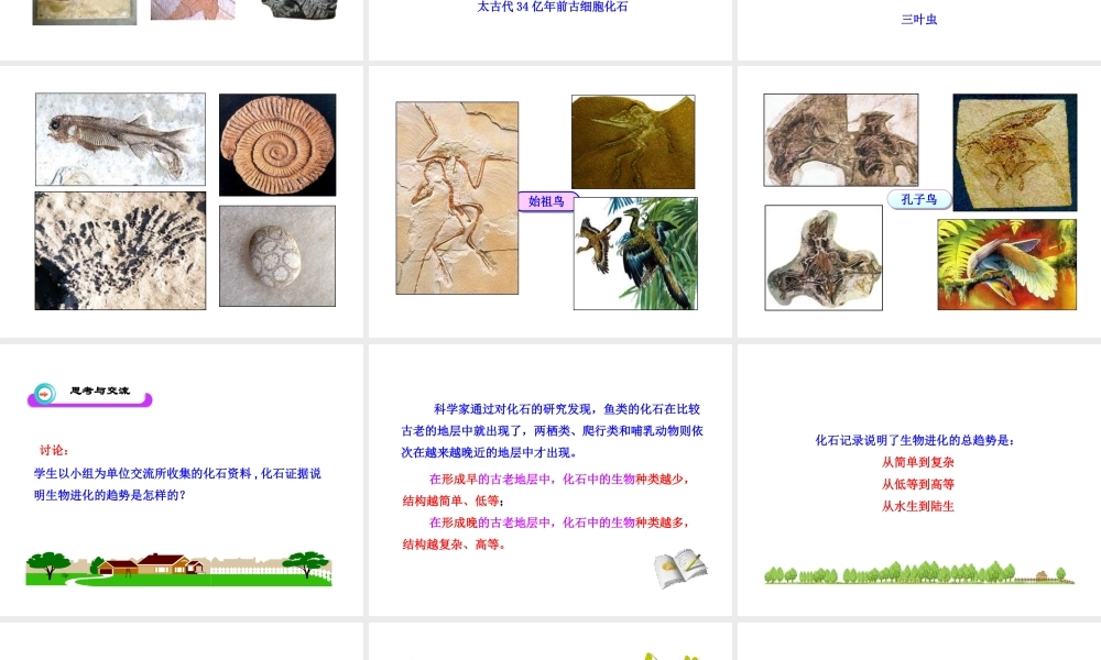 八年级生物下册 第21章 第二节 生物的进化课件1 （新版）北师大版