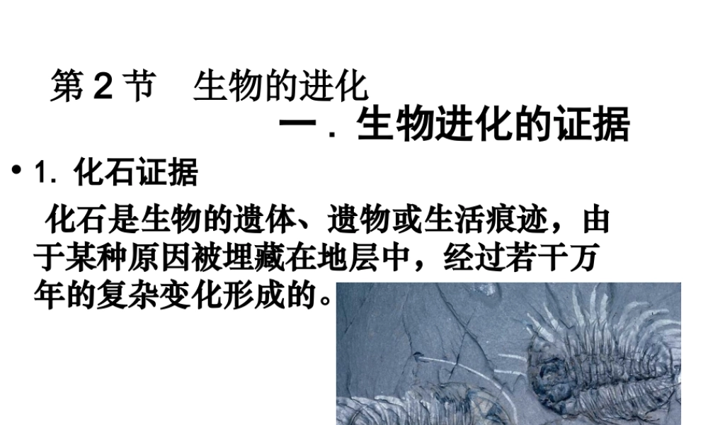 八年级生物下册 第21章 第二节 生物的进化课件2 （新版）北师大版