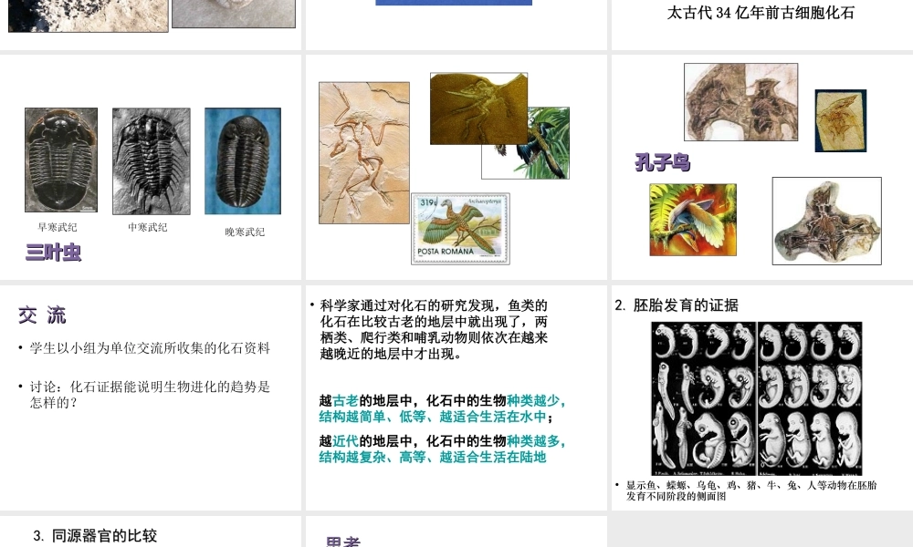 八年级生物下册 第21章 第二节 生物的进化课件2 （新版）北师大版