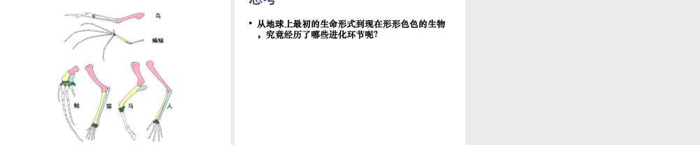 八年级生物下册 第21章 第二节 生物的进化课件2 （新版）北师大版