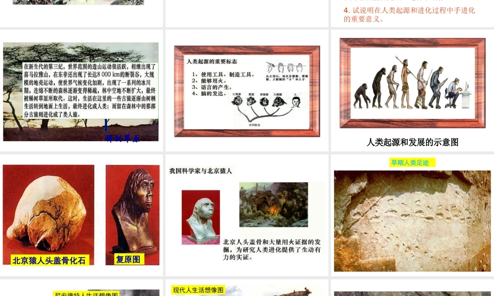 八年级生物下册 第21章 第3节 人类的起源与进化课件3 北师大版-北师大版初中八年级下册生物课件