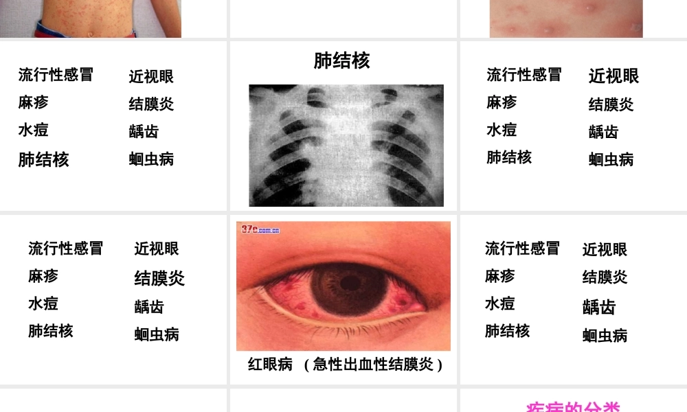 八年级生物下册 8.1.1 传染病及其预防课件4 新人教版