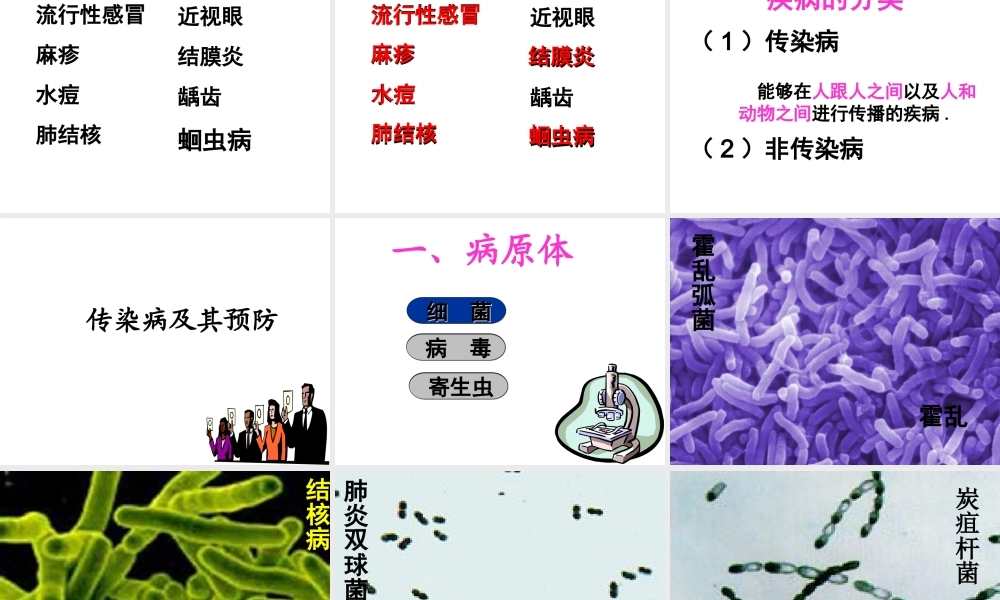 八年级生物下册 8.1.1 传染病及其预防课件4 新人教版