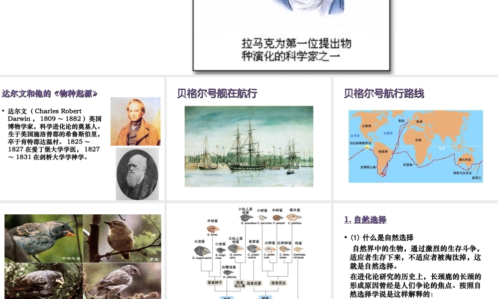 八年级生物下册 第21章 第二节 生物的进化课件3 （新版）北师大版