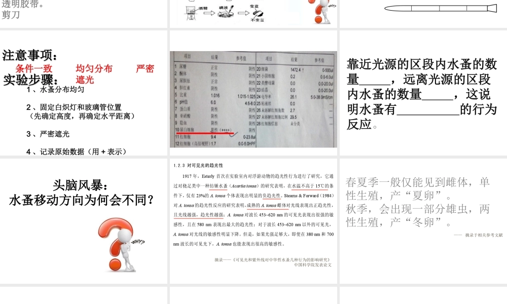 八年级生物下册 第4章 生物的类群 4.2 动物—探究水蚤对光照强度的反应（实验）课件 沪教版-沪教版初中八年级下册生物课件