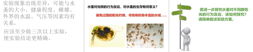 八年级生物下册 第4章 生物的类群 4.2 动物—探究水蚤对光照强度的反应（实验）课件 沪教版-沪教版初中八年级下册生物课件