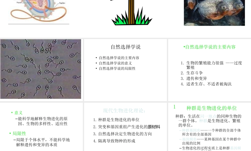 八年级生物下册 第21章 第二节 生物的进化课件4 （新版）北师大版