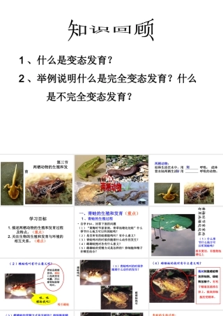 八年级生物下册 7.1.3 两栖动物的生殖和发育课件 （新版）新人教版-（新版）新人教级下册生物课件