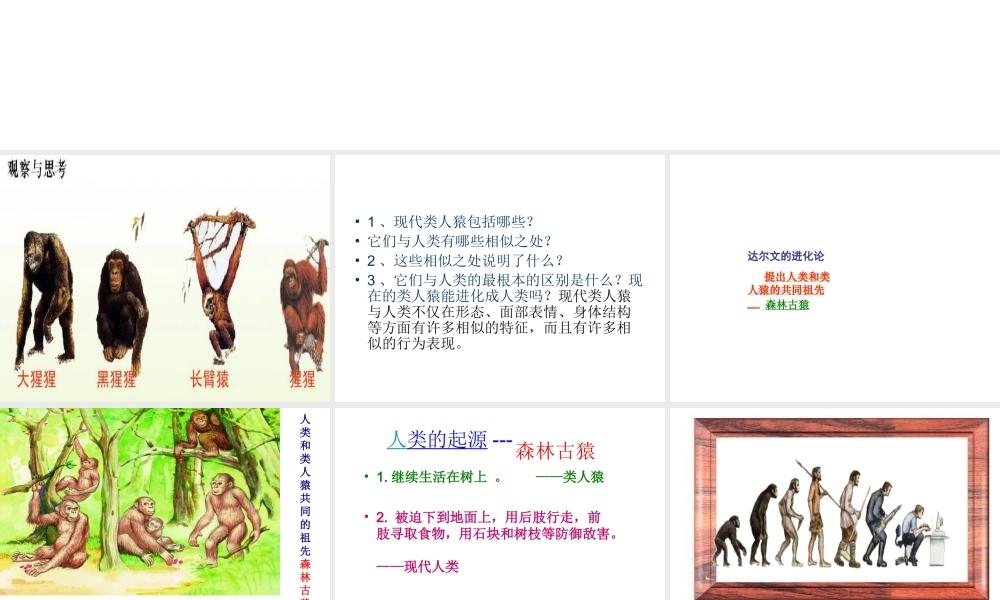 八年级生物下册 第21章 第三节 人类的起源和进化课件 北师大版