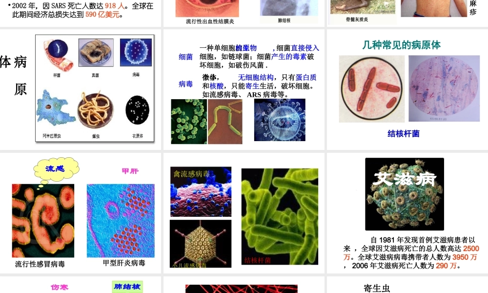 八年级生物下册 第八单元 第一章 第1节 传染病及其预防课件 新人教版-新人教版初中八年级下册生物课件