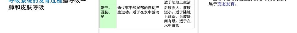 八年级生物下册 7.1.3 两栖动物的生殖和发育课件 新人教版-新人教版初中八年级下册生物课件