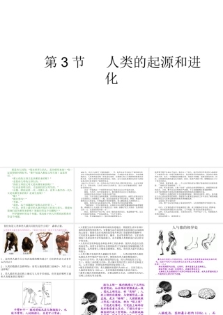 八年级生物下册 第21章 第三节 人类的起源与进化课件1 （新版）北师大版