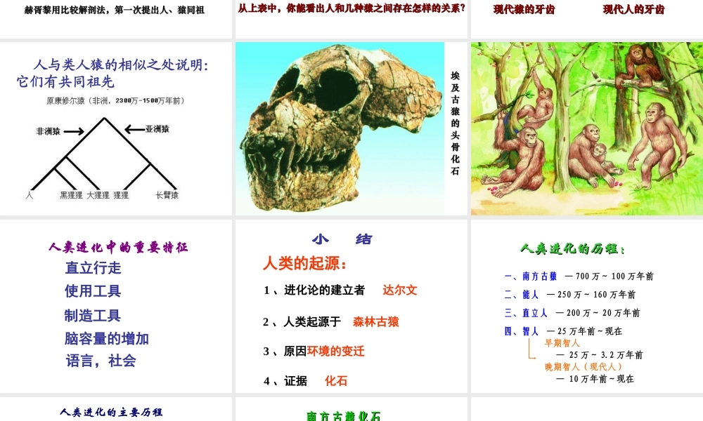 八年级生物下册 第21章 第三节 人类的起源与进化课件2 （新版）北师大版