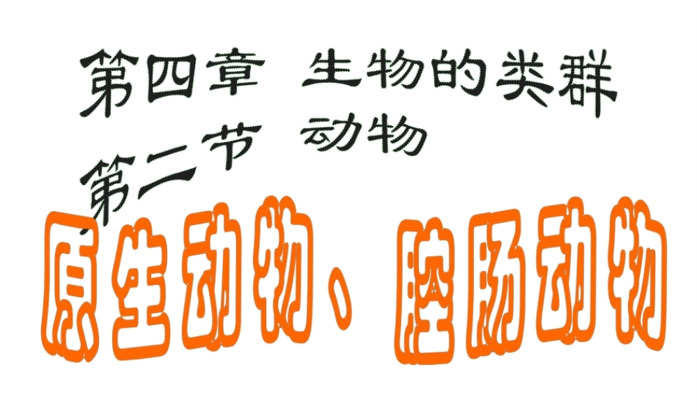 八年级生物下册 第4章 生物的类群 4.2 动物—原生动物、腔肠动物课件 沪教版-沪教版初中八年级下册生物课件