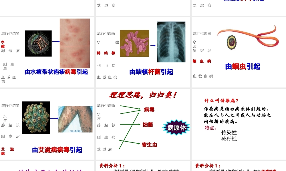 八年级生物下册 第八单元 第一章 第1节《传染病及其预防》课件 新人教版