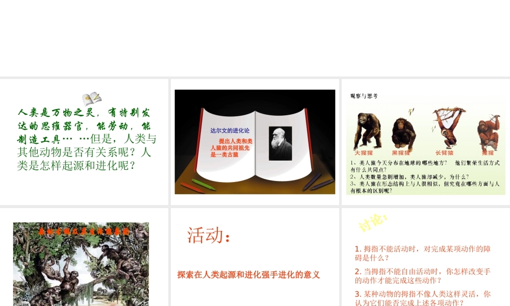 八年级生物下册 第21章 第三节 人类的起源与进化课件3 （新版）北师大版